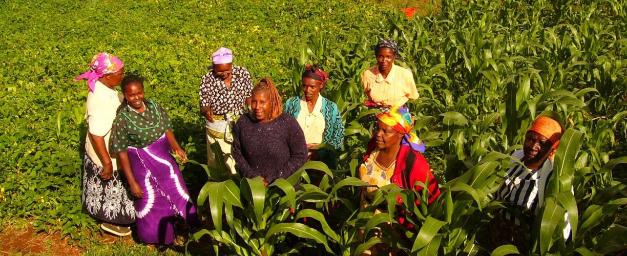 Farmers women